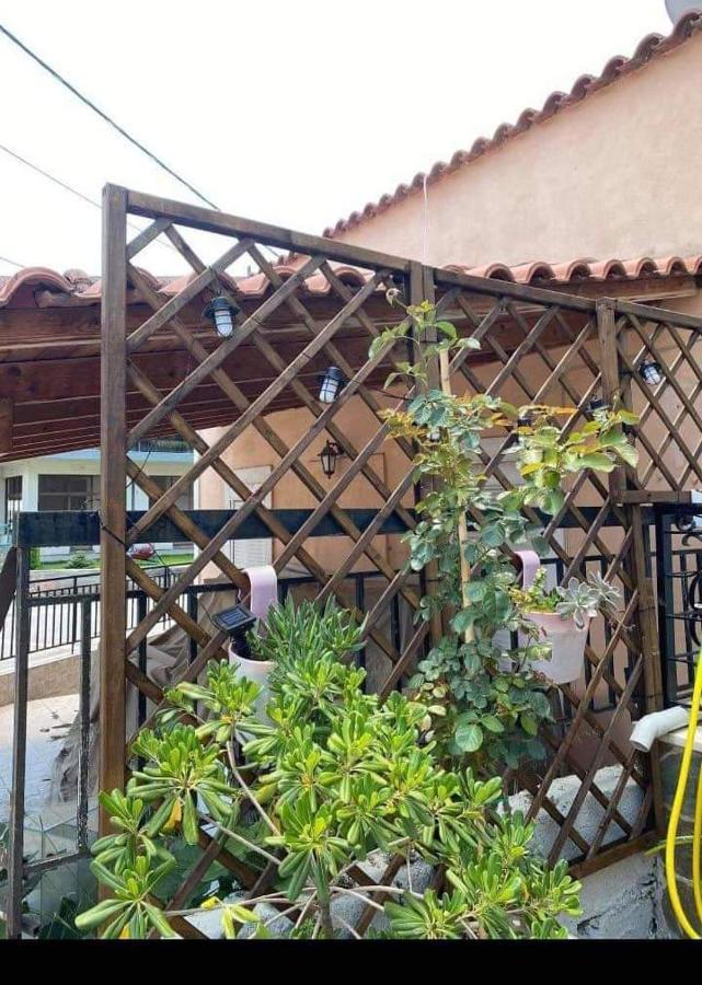 דירות Yimnon Sady'S House מראה חיצוני תמונה